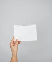 hand holding a blank white sheet in a cell photo