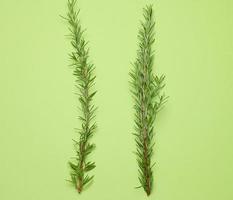 Fresh branches of rosemary with green leaves on a green background. Spice for meat photo