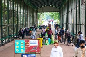 jakarta, indonesia en diciembre de 2022. el zoológico de ragunan es uno de los lugares favoritos para familias pequeñas y grandes foto