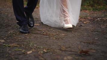 braut und bräutigam, die im park spazieren gehen. video