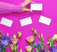 female hand in pink sweater holding a blank white paper business card photo