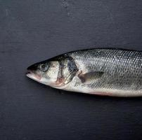 fresh whole sea bass fish on black background photo
