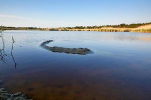 therapeutic lake with iodine and minerals in the middle of the wild steppe photo