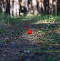 pequeña bola roja de hilo de lana desenrollada en un sendero en medio de un bosque de pinos foto