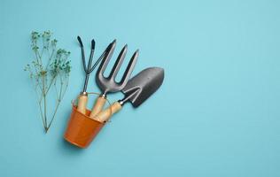 Garden tools for processing beds in the garden on a blue background. Top view photo