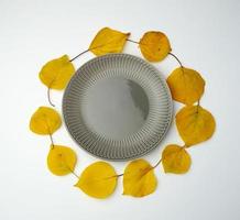 empty gray ceramic plate and yellow dry apricot leaves photo