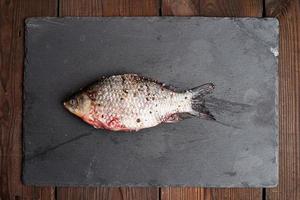 whole fresh crucian fish with scales lies on a black slate board photo