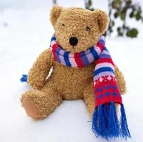 old teddy bear in a scarf sits on white snow photo