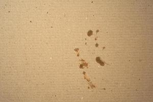 fragment of a brown paper sheet of a box with greasy stains, photo