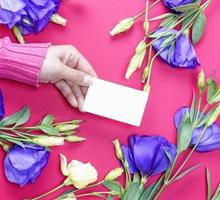 female hand in pink sweater holding a blank white paper business card photo