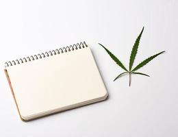 notebook with blank white sheets and green hemp leaf photo