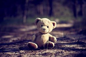 teddy bear sitting in the middle of the forest photo