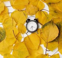 many yellowed dry apricot leaves, full frame photo