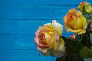 tres rosas sobre un fondo azul de madera foto