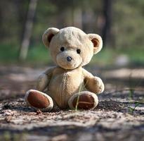 abandoned brown teddy bear sitting in the middle of the forest in the evening photo