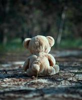 brown teddy bear sits back in the middle of a sandy road in the forest photo