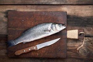 fresh whole sea bass fish on brown cutting board photo