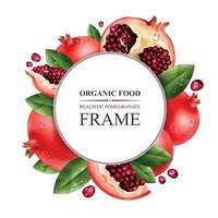 Pomegranate Realistic Frame vector