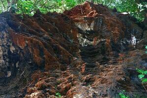 Boulder within the island , Red rock photo