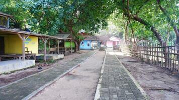 Beautiful village road with many trees around it photo