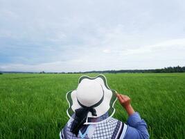 Back of woman in the hat who is looking at the view of the green rice fields photo