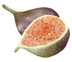 clipart de vinho e queijo em aquarela, png