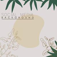 vector botánico, flores, plantas banner fondo cuadrado social media post,