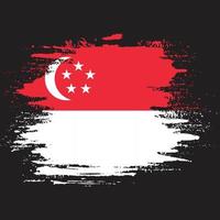 Singapore splash flag vector