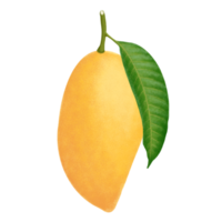 mango frukt illustration. png