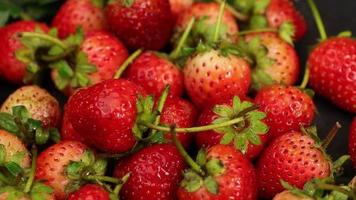 maturo fragole siamo rosso nel colore con un' dolce e acida gusto. rosso fragola, rosso fragole, fragole frutta, fragola video