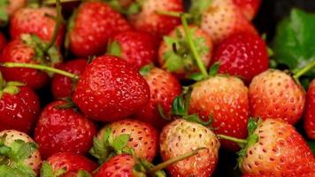 las fresas maduras son de color rojo con un sabor agridulce. fresa roja, fresas rojas, fresas frutas, fresa video