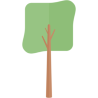 piatto albero natura estetico collezione impostato png