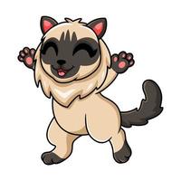 Cute balinese cat cartoon walking vector