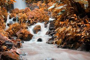 la belleza de un arroyo que fluye en una zona rural de bali. foto