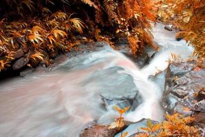 This is a beautiful photo of a stream of water flowing in a river in the village area.