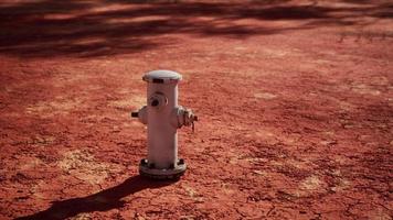 old rusted fire hydrant in desert photo