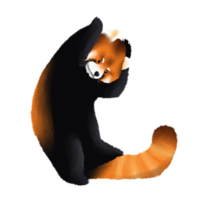 Cute red panda or Chinese bear character watercolor hand drawn. png