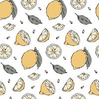 Hand drawn lemon seamless pattern with cut lemon slices, leaves, seads on white background, vector illustration