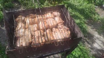 Braten von saftigem Kebab mit Gewürzen und Kräutern in brennendem Holzkohlenfeuer auf Grillrost. saftiges fleisch mit grillstreifen bereit für picknickfeier. Kochen von Speisen im Grill mit Rauch. video
