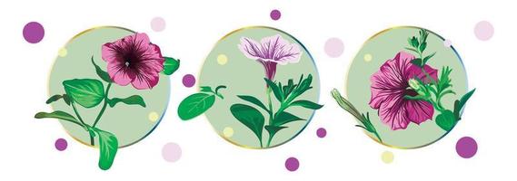 Set of cards with petunia flowers isolated in a green circle on a white background with colorful dots. Green leaves, opened buds, closed buds, lilac and pink flowers. vector