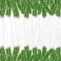 Green branches of spruce or pine on gray background. Vector festive background with space for text. Christmas and New Year background.