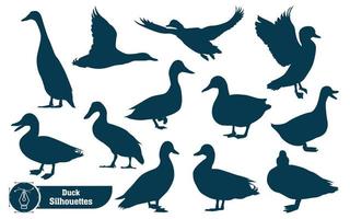 Collection of Animal duck silhouette in different poses vector