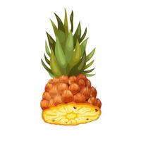 pineapple cut cartoon vector illustration