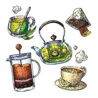 tea cup drink set sketch hand drawn vector