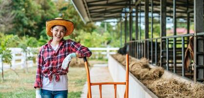 retrato de una feliz granjera asiática alimentando vacas en un establo en una granja lechera. concepto de industria agrícola, agricultura, personas, tecnología y cría de animales. foto