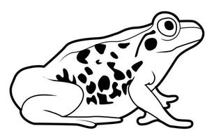 vector illustration of frog
