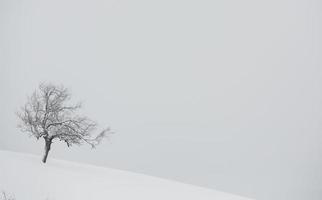 una abundante nevada en los cárpatos rumanos en el pueblo de sirnea, brasov. invierno real con nieve en el campo foto