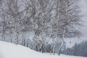 una abundante nevada en los cárpatos rumanos en el pueblo de sirnea, brasov. invierno real con nieve en el campo foto