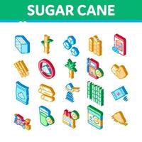 Sugar Cane Agriculture Isometric Icons Set Vector