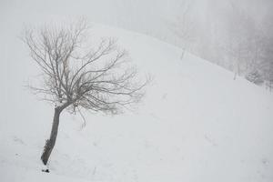 una abundante nevada en los cárpatos rumanos en el pueblo de sirnea, brasov. invierno real con nieve en el campo foto